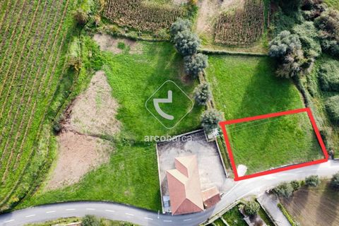 Helårsgrund i Ponte de Lima, Viana do Castelo, Ponte de Lima - € 45.000 | Ref: AV6175 - foto 6