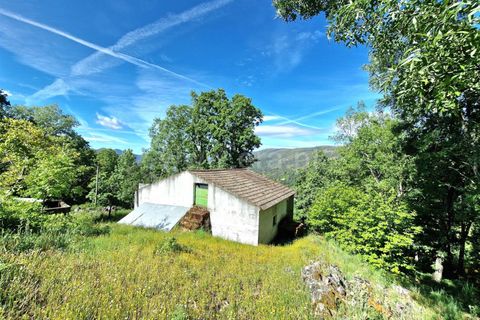 Villa i Guarda, Guarda, Guarda - € 42.500 | Ref: 046240146 - foto 10