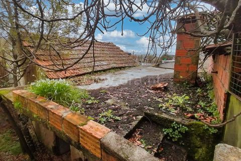 Villa a Nelas, Viseu, Nelas - € 52.000 | Ref: 389240101 - foto 7