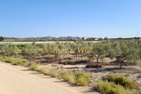 Tomt i Elche, Alicante, Elche - € 79 000 | Ref: AM0025 - foto 8