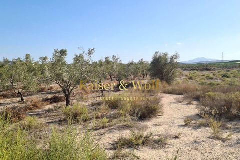 Tomt i Elche, Alicante, Elche - € 79 000 | Ref: AM0025 - foto 13