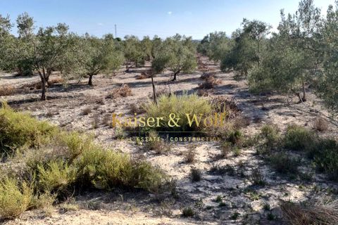 Tomt i Elche, Alicante, Elche - € 79 000 | Ref: AM0025 - foto 14