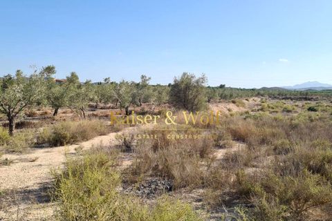Tomt i Elche, Alicante, Elche - € 79 000 | Ref: AM0025 - foto 15