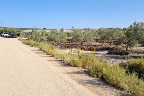 Tomt i Elche, Alicante, Elche - € 79 000 | Ref: AM0025 - foto 16