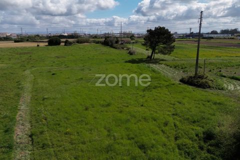 Tomt i Aveiro, Aveiro, Aveiro - € 278 000 | Ref: ZMPT572024 - foto 4