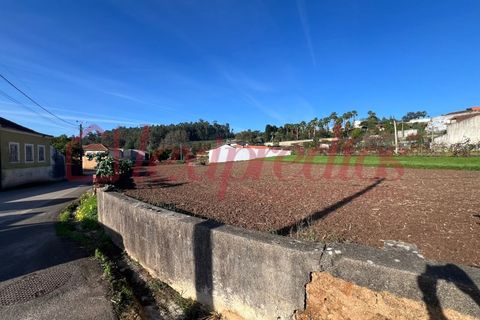 Helårsgrund i Agueda, Aveiro, Agueda - € 65.000 | Ref: AG 4241 - foto 2