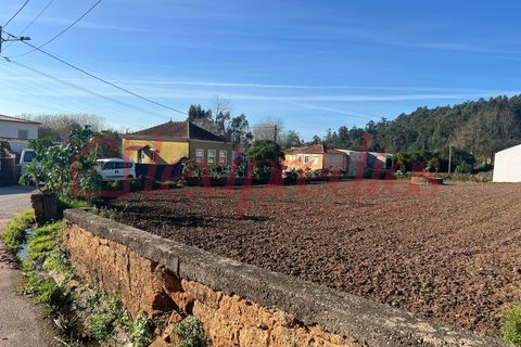 Helårsgrund i Agueda, Aveiro, Agueda - € 65.000 | Ref: AG 4241 - foto 4