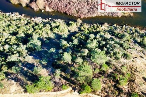 Helårsgrund i Castelo Branco, Castelo Branco, Castelo Branco - € 24.000 | Ref: 21-11852 - foto 4
