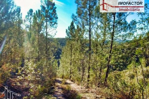 Helårsgrund i Castelo Branco, Castelo Branco, Castelo Branco - € 24.000 | Ref: 21-11852 - foto 5