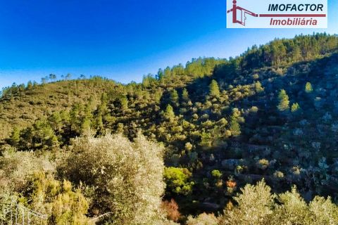 Helårsgrund i Castelo Branco, Castelo Branco, Castelo Branco - € 24.000 | Ref: 21-11852 - foto 6