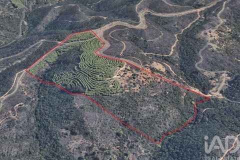 Byhus i Lagos, Faro, Lagos - € 460.000 | Ref: 132803 - foto 29
