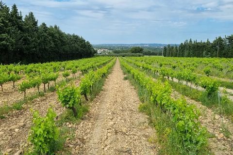 Erhvervsejendom i Avignon, Vaucluse, Avignon - € 1.696.000 | Ref: HH-15621402 - foto 1