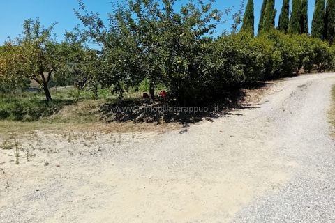 Villa i Siena, Siena, Siena - € 2.000.000 | Ref: CS11 - foto 9