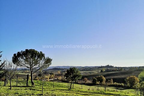 Villa i Siena, Siena, Siena - € 2.000.000 | Ref: CS11 - foto 12
