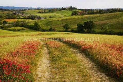 Villa i Siena, Siena, Siena - € 2.000.000 | Ref: CS11 - foto 24