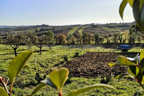 Villa i Siena, Siena, Siena - € 2.000.000 | Ref: CS11 - foto 26