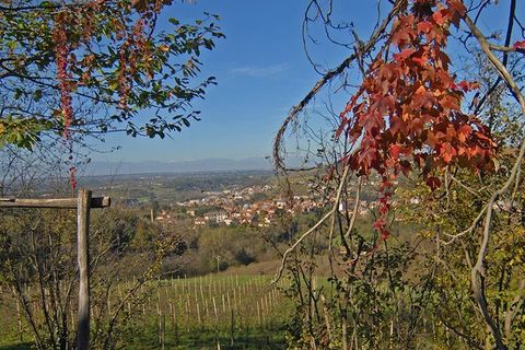 Villa a Dogliani, Cuneo, Dogliani - € 2.600.000 | Ref: DGL232 - foto 21