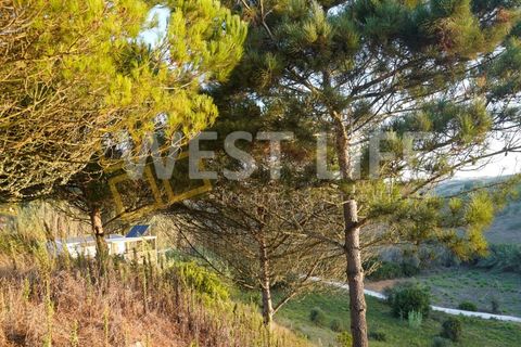 Helårsgrund i Mafra, Lisbon, Mafra - € 150.000 | Ref: 5468WE - foto 21