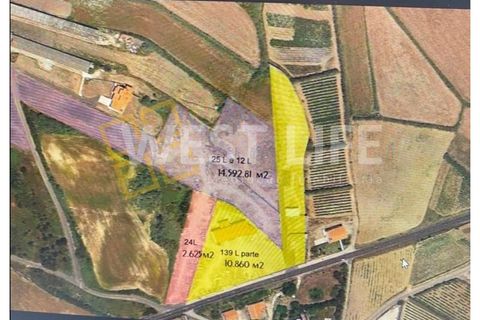 Helårsgrund i Mafra, Lisbon, Mafra - € 290.000 | Ref: 4924WM - foto 6