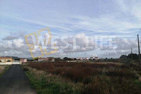 Helårsgrund i Mafra, Lisbon, Mafra - € 290.000 | Ref: 4924WM - foto 8