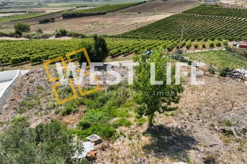 Villa i Alenquer, Lisbon, Alenquer - € 680.000 | Ref: 4999WE - foto 29