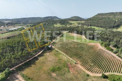 Helårsgrund i Mafra, Lisbon, Mafra - € 25.000 | Ref: 4391WE - foto 1