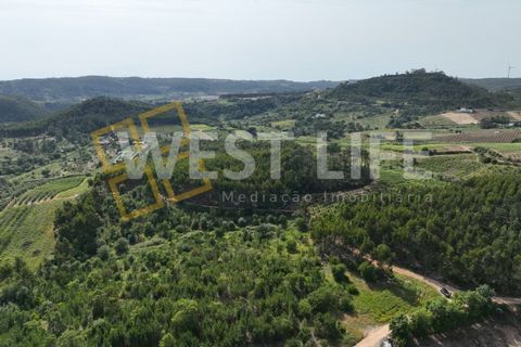 Helårsgrund i Mafra, Lisbon, Mafra - € 25.000 | Ref: 4391WE - foto 13