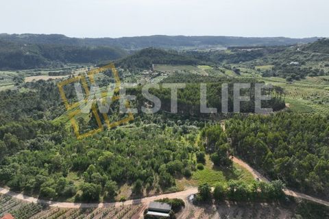 Helårsgrund i Mafra, Lisbon, Mafra - € 25.000 | Ref: 4391WE - foto 14