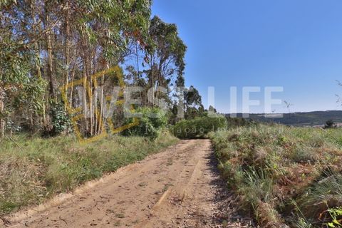 Helårsgrund i Mafra, Lisbon, Mafra - € 49.500 | Ref: 5314WT - foto 2