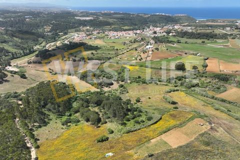 Helårsgrund i Mafra, Lisbon, Mafra - € 49.500 | Ref: 5314WT - foto 3