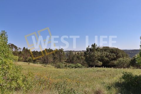 Helårsgrund i Mafra, Lisbon, Mafra - € 49.500 | Ref: 5314WT - foto 4