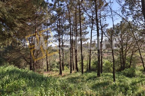 Helårsgrund i Mafra, Lisbon, Mafra - € 49.500 | Ref: 5314WT - foto 6