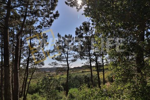 Helårsgrund i Mafra, Lisbon, Mafra - € 49.500 | Ref: 5314WT - foto 7