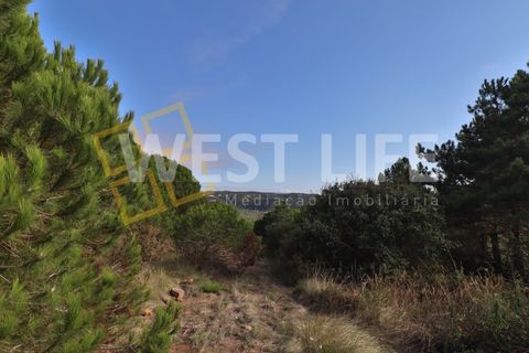 Helårsgrund i Mafra, Lisbon, Mafra - € 49.500 | Ref: 5314WT - foto 8