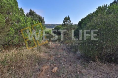 Helårsgrund i Mafra, Lisbon, Mafra - € 49.500 | Ref: 5314WT - foto 10