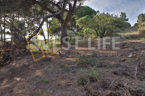 Helårsgrund i Mafra, Lisbon, Mafra - € 49.500 | Ref: 5314WT - foto 11