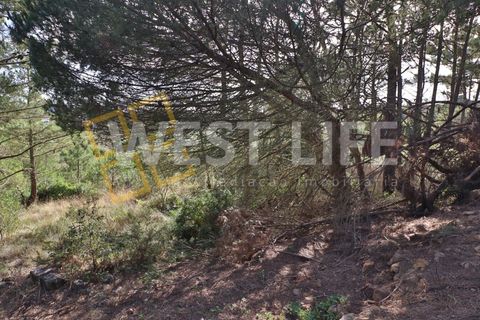 Helårsgrund i Mafra, Lisbon, Mafra - € 49.500 | Ref: 5314WT - foto 12