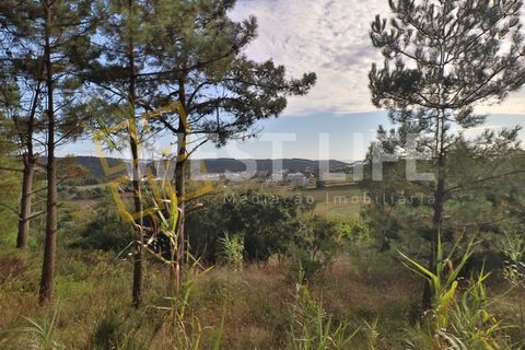Helårsgrund i Mafra, Lisbon, Mafra - € 49.500 | Ref: 5314WT - foto 13