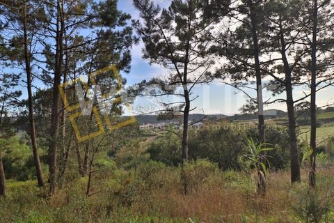 Helårsgrund i Mafra, Lisbon, Mafra - € 49.500 | Ref: 5314WT - foto 14
