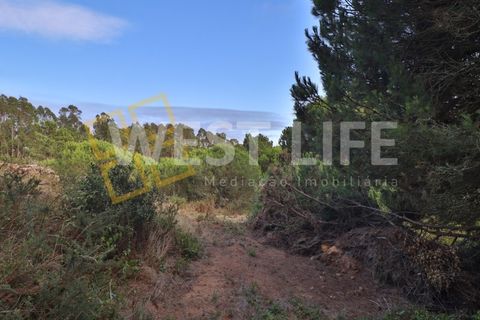 Helårsgrund i Mafra, Lisbon, Mafra - € 49.500 | Ref: 5314WT - foto 15