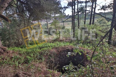 Helårsgrund i Mafra, Lisbon, Mafra - € 49.500 | Ref: 5314WT - foto 16