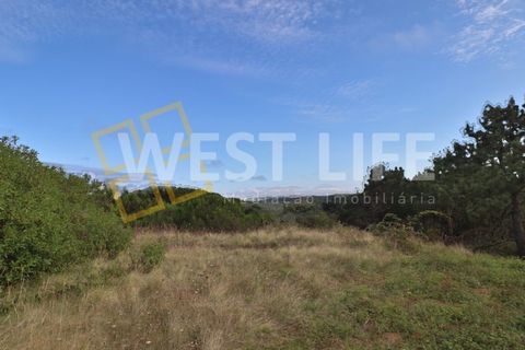 Helårsgrund i Mafra, Lisbon, Mafra - € 49.500 | Ref: 5314WT - foto 17
