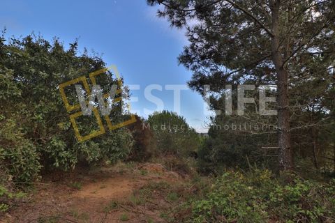Helårsgrund i Mafra, Lisbon, Mafra - € 49.500 | Ref: 5314WT - foto 18