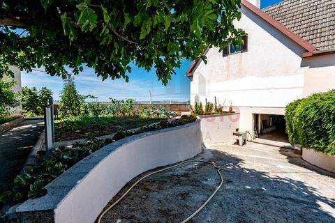 Villa a Vermiosa, Guarda, Vermiosa - € 250.000 | Ref: CAS_2092 - foto 32