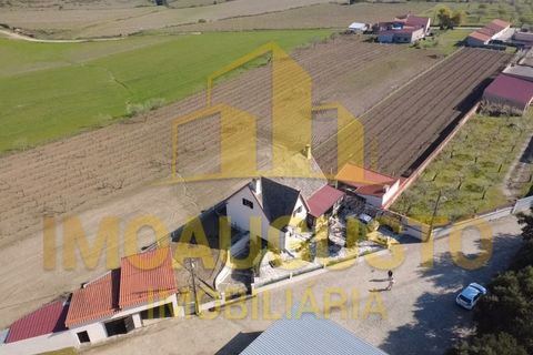 Villa a Vermiosa, Guarda, Vermiosa - € 250.000 | Ref: CAS_2092 - foto 2