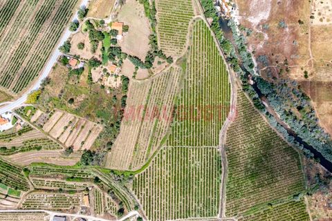 Farm i Valhelhas, Guarda, Valhelhas - € 189.900 | Ref: VIL_2071 - foto 3