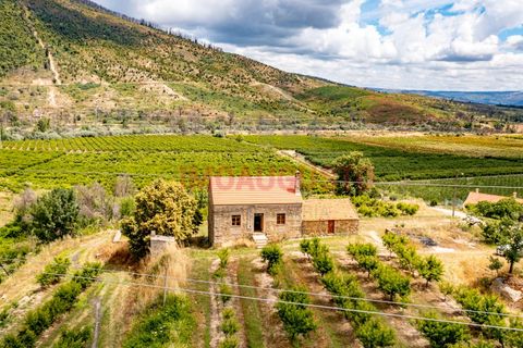 Farm i Valhelhas, Guarda, Valhelhas - € 189.900 | Ref: VIL_2071 - foto 5