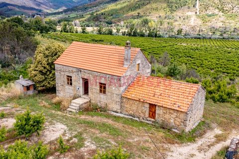 Farm i Valhelhas, Guarda, Valhelhas - € 189.900 | Ref: VIL_2071 - foto 6
