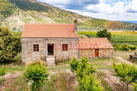 Farm i Valhelhas, Guarda, Valhelhas - € 189.900 | Ref: VIL_2071 - foto 7