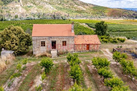 Farm i Valhelhas, Guarda, Valhelhas - € 189.900 | Ref: VIL_2071 - foto 8